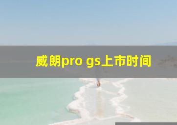 威朗pro gs上市时间